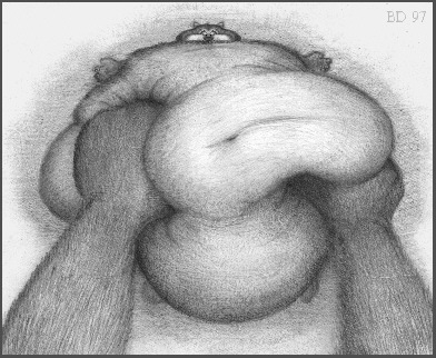 BD_ST3.jpg (55895 bytes)