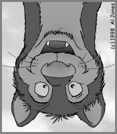 JEDD_UD5.gif (33417 bytes)